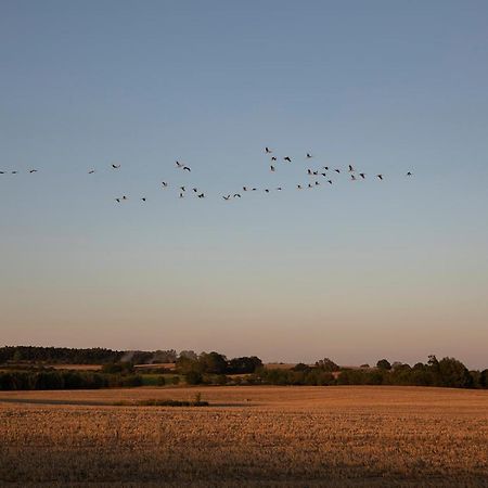 Radlerzimmer Mit Duschbad Und Minikueche In Neu Gaarz, Mitten In Der Natur Екстер'єр фото